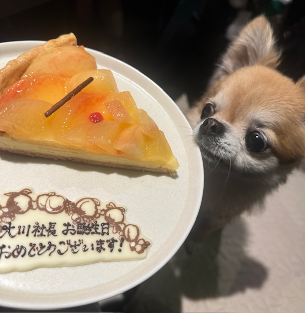 blog